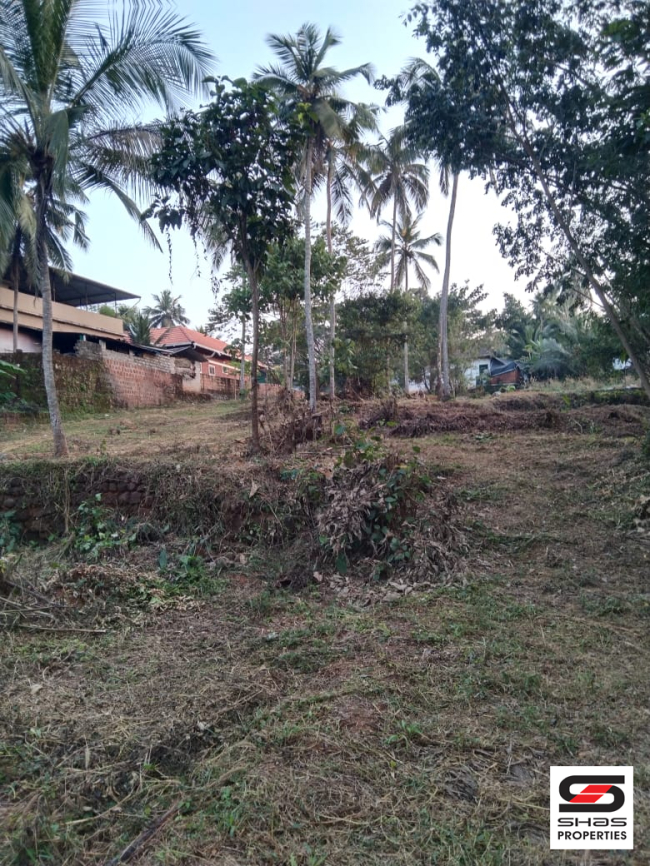 Plot for sale near Perinthalmanna, Malappuram