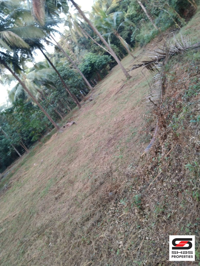 Plot for sale near Perinthalmanna, Malappuram