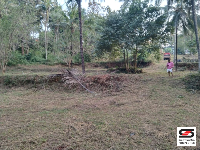 Plot for sale near Perinthalmanna, Malappuram