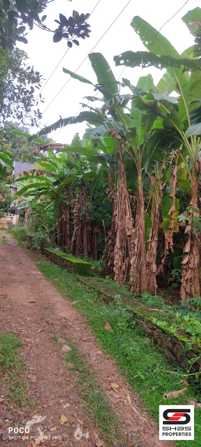 House plot for sale near Koratty, Thrissur