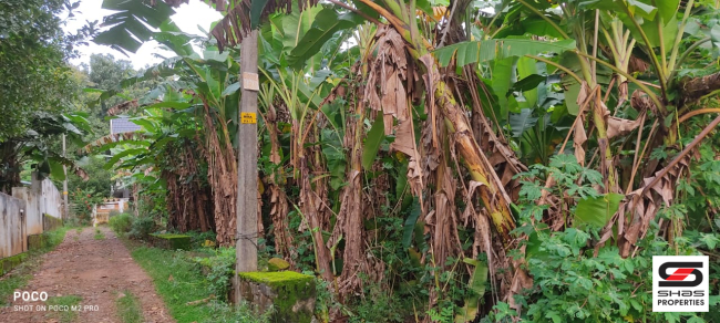 House plot for sale near Koratty, Thrissur