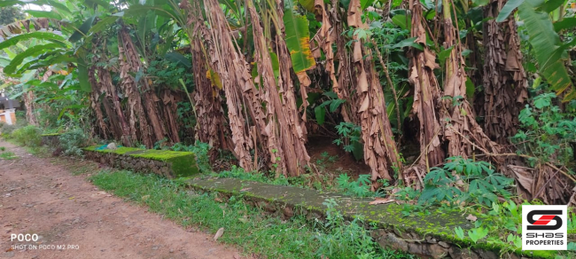 House plot for sale near Koratty, Thrissur