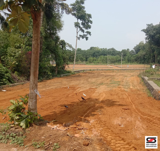 House plot for sale in Pukkattupady, Kochi