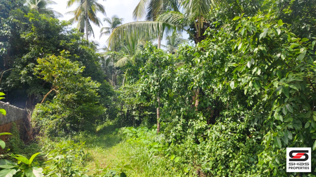Commercial plot for sale in Edappal, Malappuram