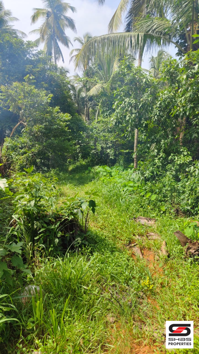 Commercial plot for sale in Edappal, Malappuram