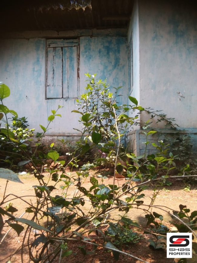 Farmland for sale near Vagamon, Idukki