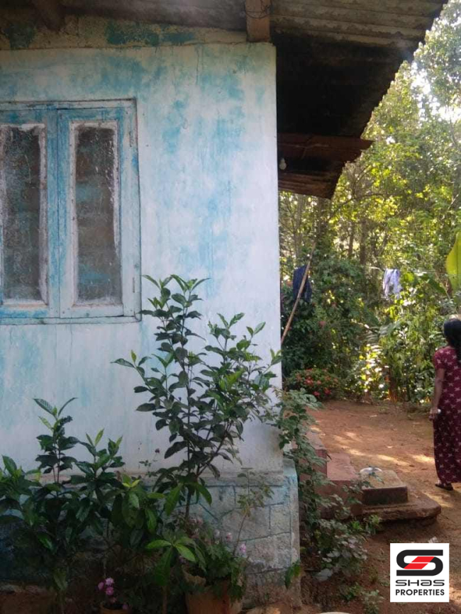 Farmland for sale near Vagamon, Idukki