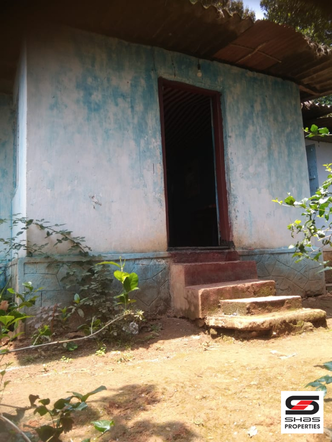 Farmland for sale near Vagamon, Idukki