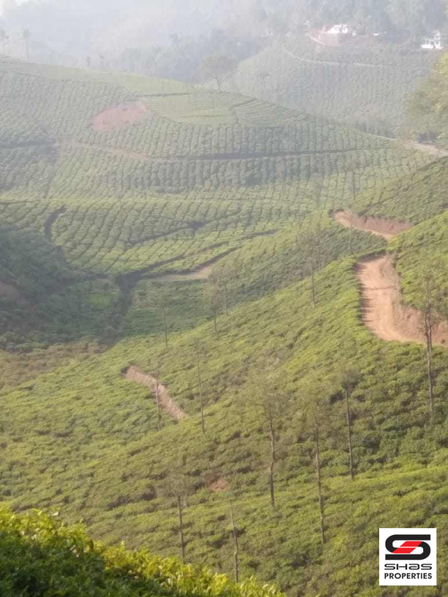 Farmland for sale near Vagamon, Idukki