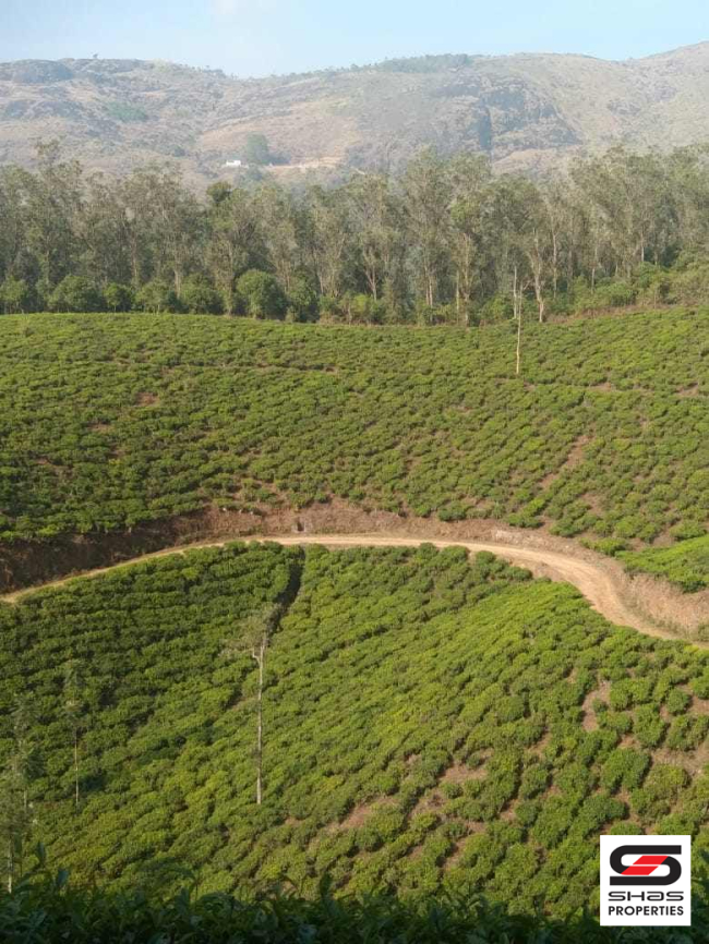 Farmland for sale near Vagamon, Idukki