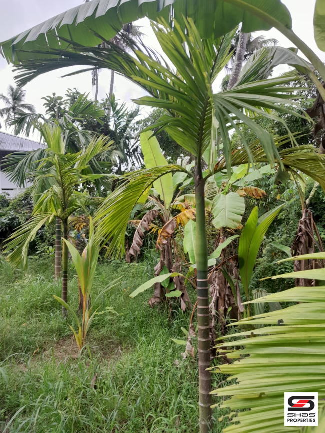 Plot for sale near Irinjalakuda, Thrissur