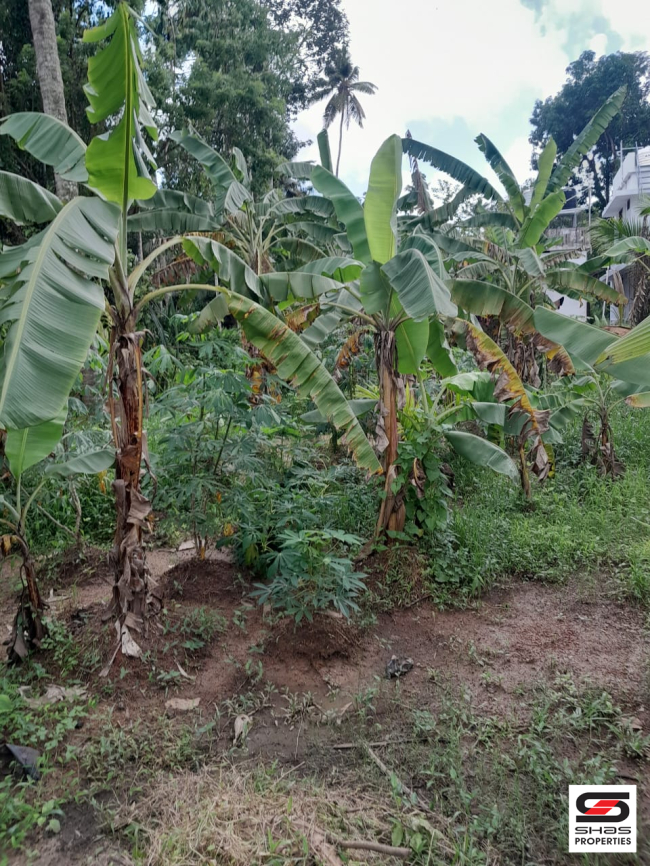 Plot for sale near Irinjalakuda, Thrissur
