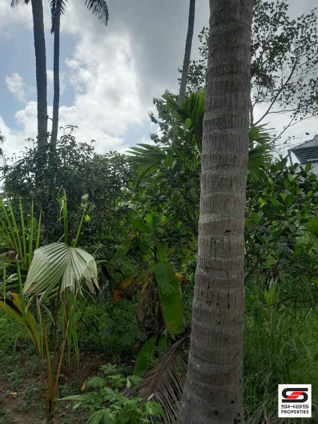 Plot for sale near Irinjalakuda, Thrissur