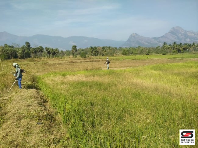 9.5 Acre land for sale near Malampuzha, Palakkad