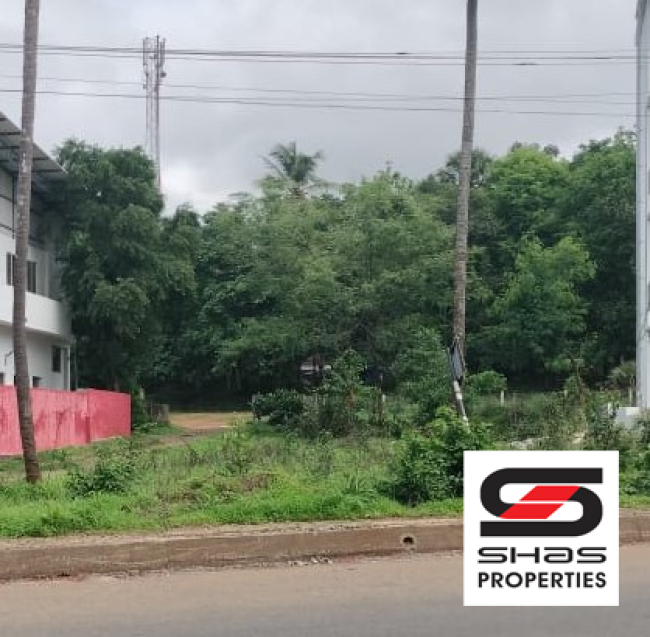 Plot for sale near Mankara, Palakkad