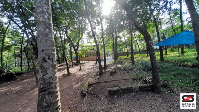 House plot for sale in Pallimon, Kollam