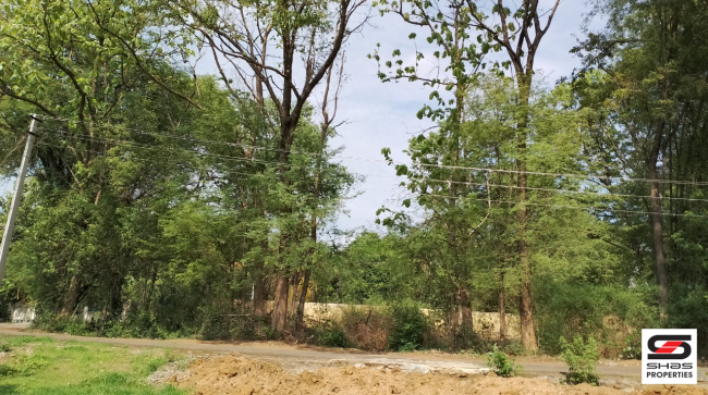 House plot for sale in Polpully, Palakkad