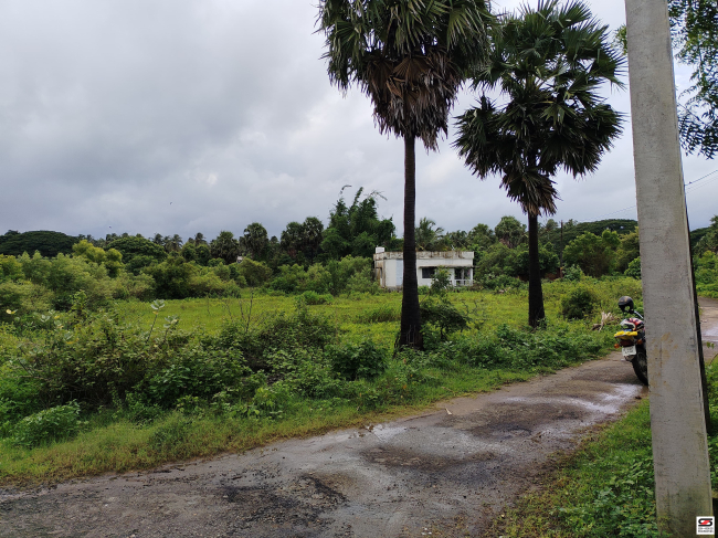 House plot for sale in Pudussery, Palakkad