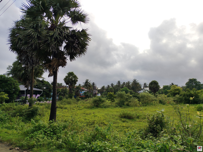House plot for sale in Pudussery, Palakkad