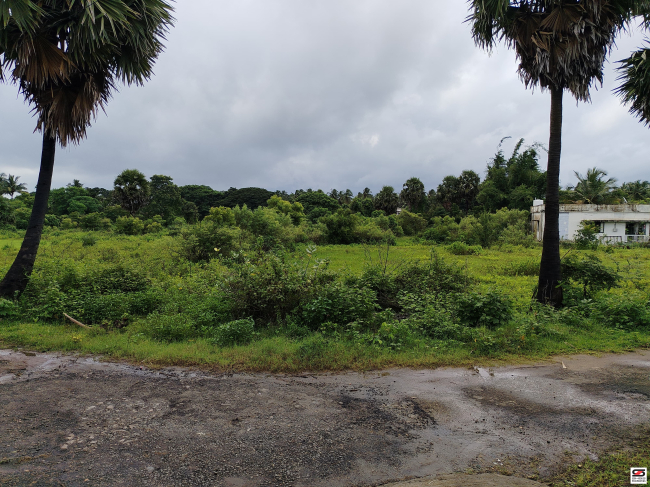 House plot for sale in Pudussery, Palakkad