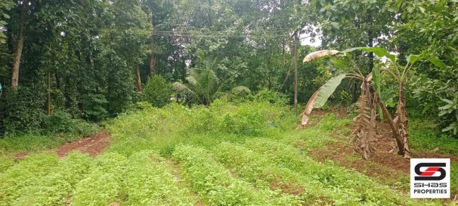 House plot for sale in Mekkad, Ernakulam