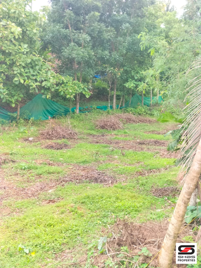 Commercial plot for sale in Kanjirappally, Kottayam