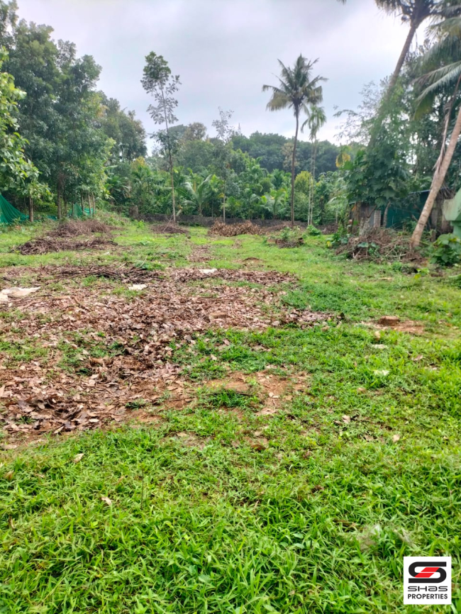 Commercial plot for sale in Kanjirappally, Kottayam