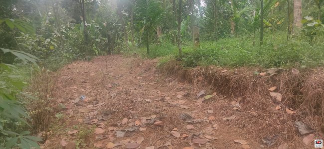 House plot for sale in Ooramana, Kochi