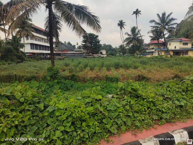 Plot for sale in Kothamangalam, Kochi