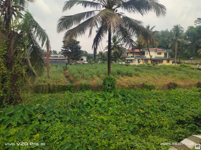 Plot for sale in Kothamangalam, Kochi