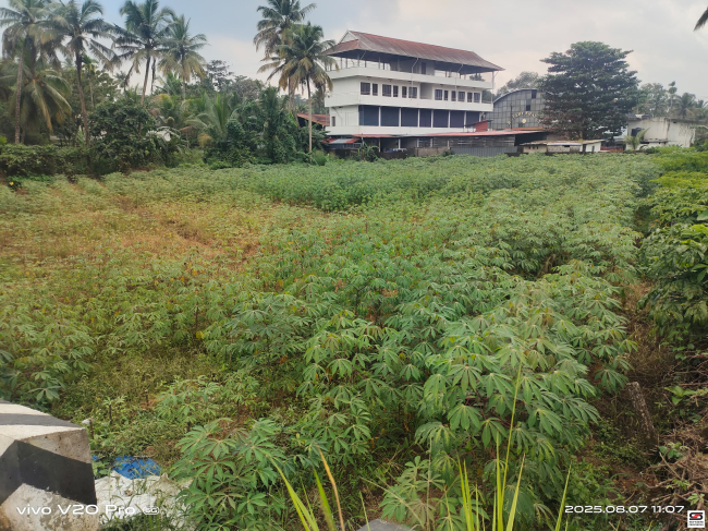 Plot for sale in Kothamangalam, Kochi