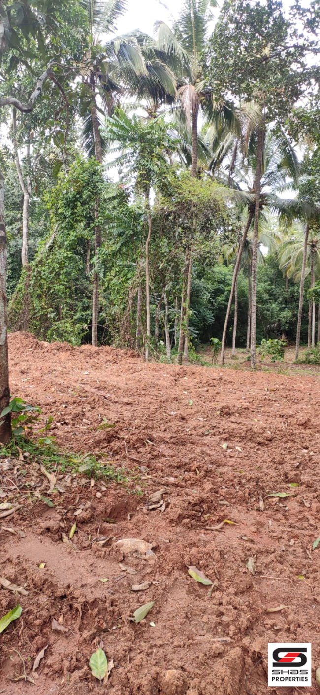 House plot for sale near Pattambi, Palakkad