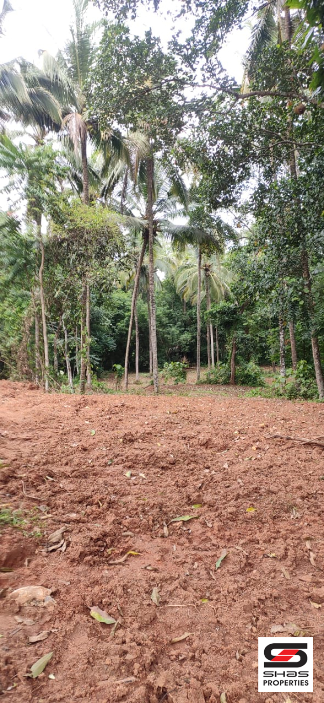 House plot for sale near Pattambi, Palakkad