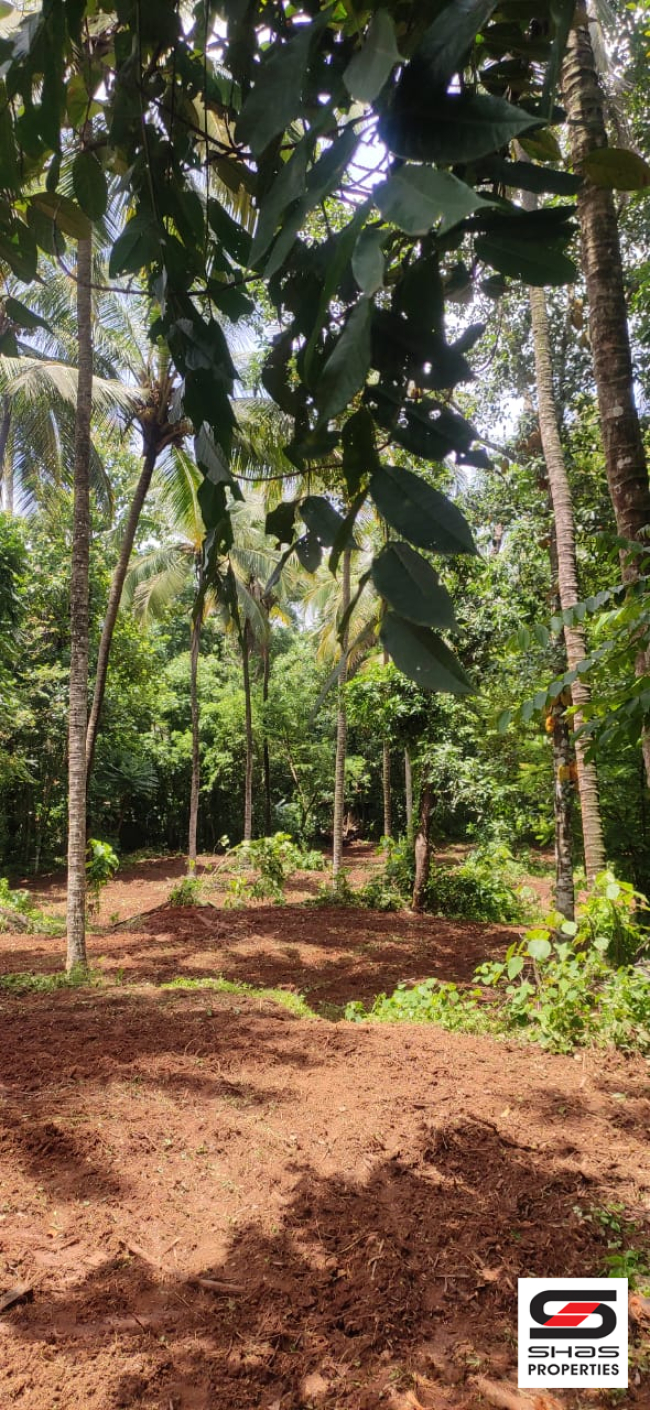 House plot for sale near Pattambi, Palakkad