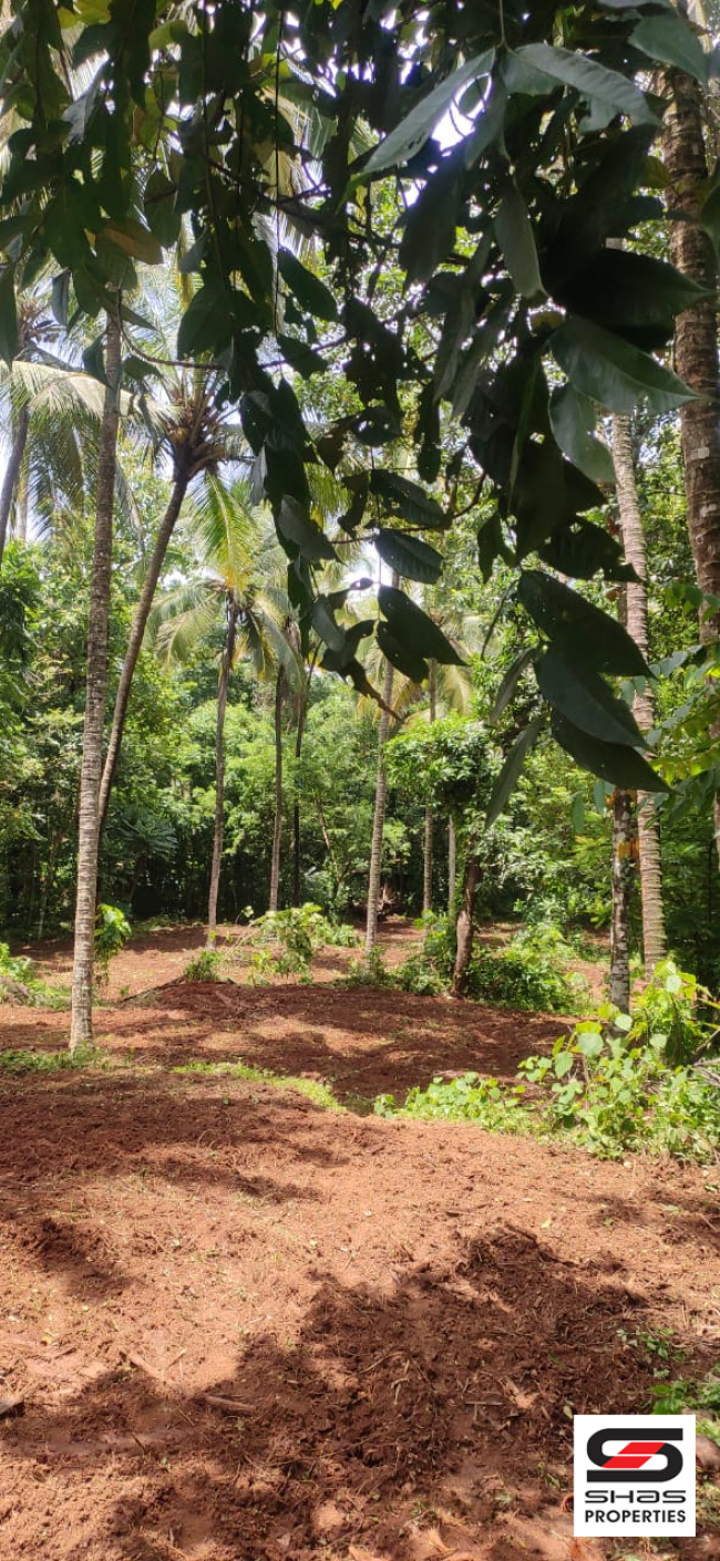 House plot for sale near Pattambi, Palakkad