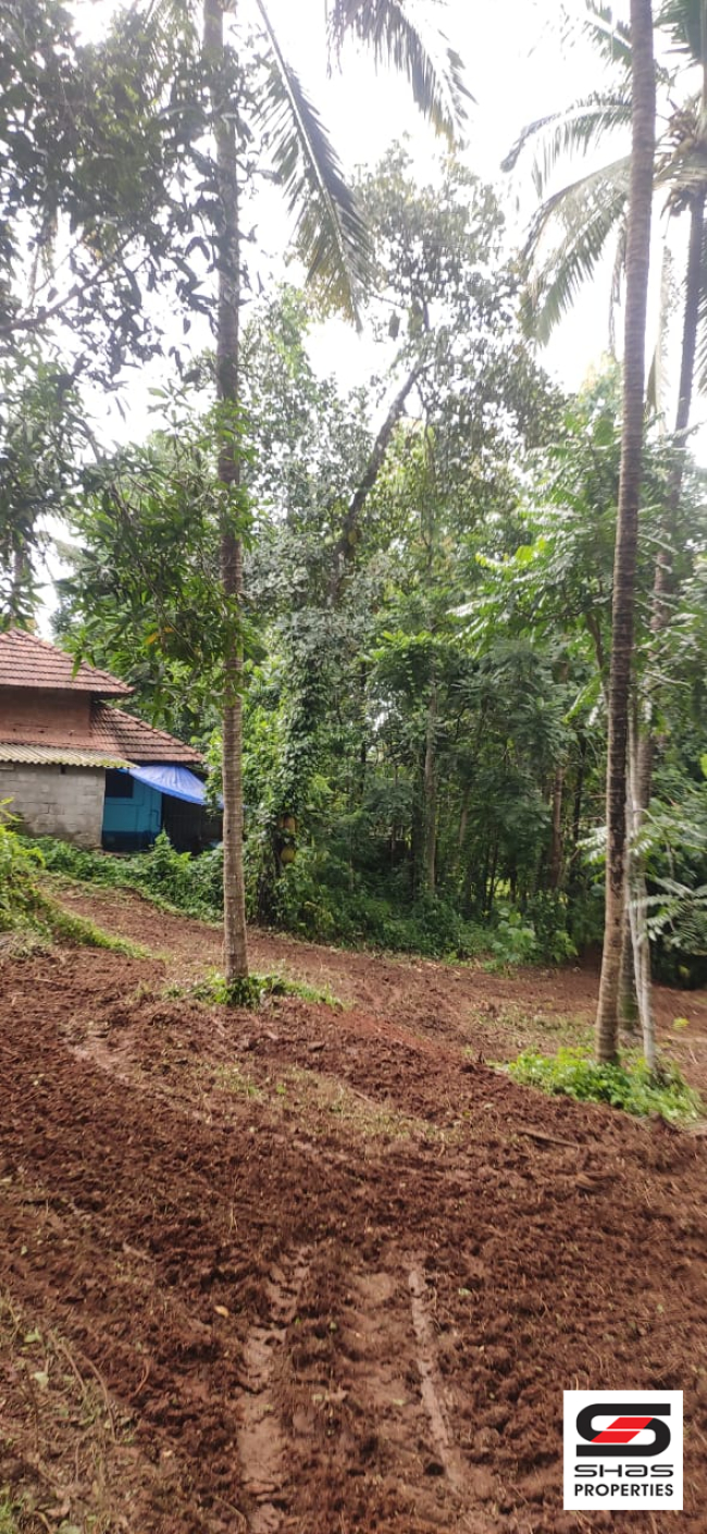 House plot for sale near Pattambi, Palakkad