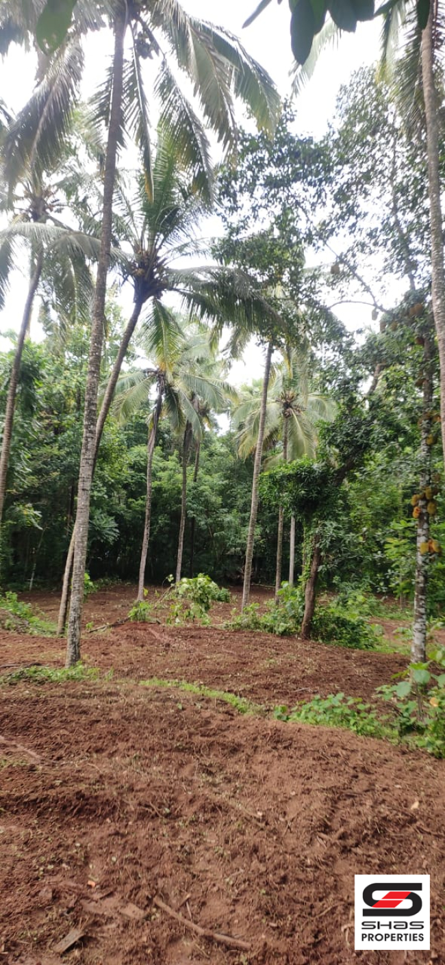 House plot for sale near Pattambi, Palakkad