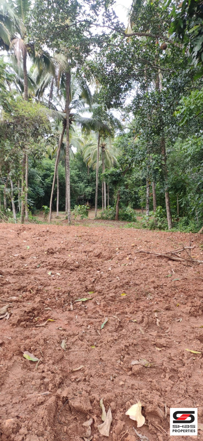 House plot for sale near Pattambi, Palakkad