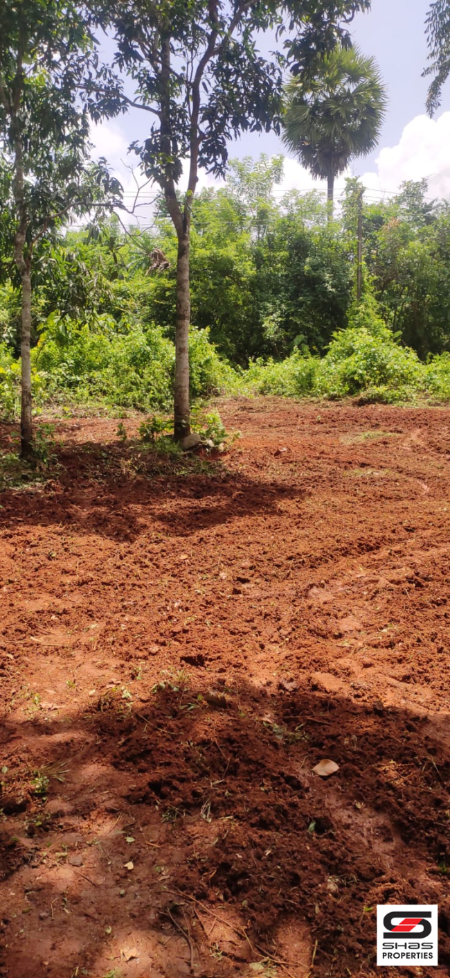 House plot for sale near Pattambi, Palakkad
