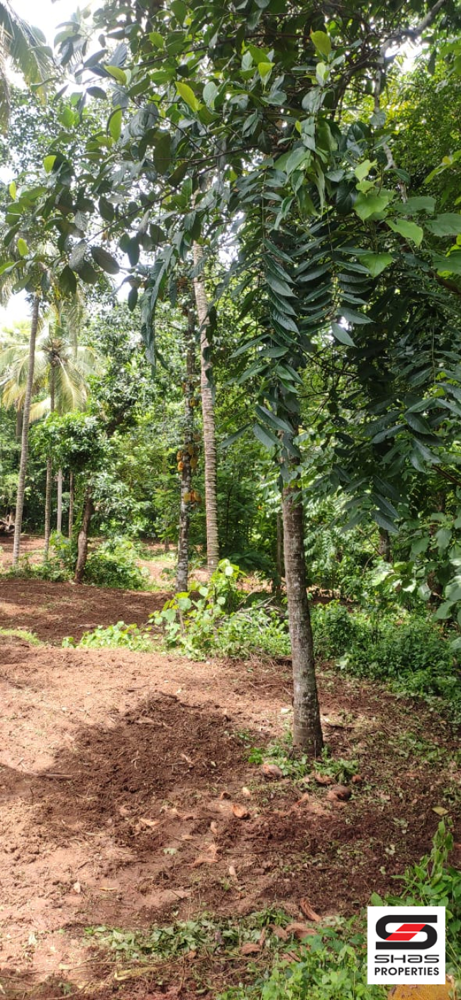 House plot for sale near Pattambi, Palakkad