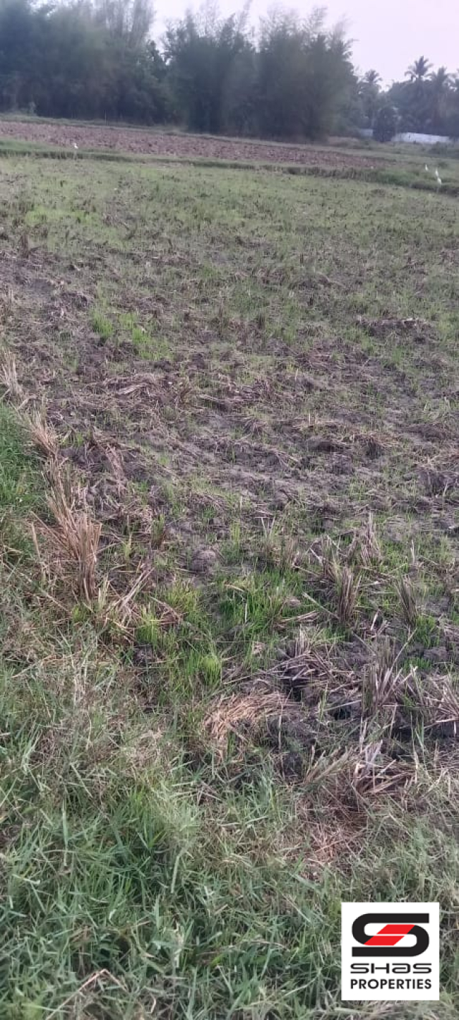 Agricultural land for sale at Kollengode, Palakkad