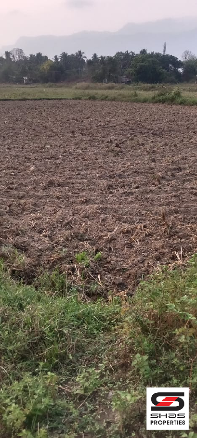Agricultural land for sale at Kollengode, Palakkad