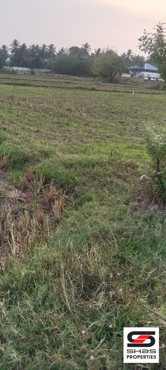 Agricultural land for sale at Kollengode, Palakkad