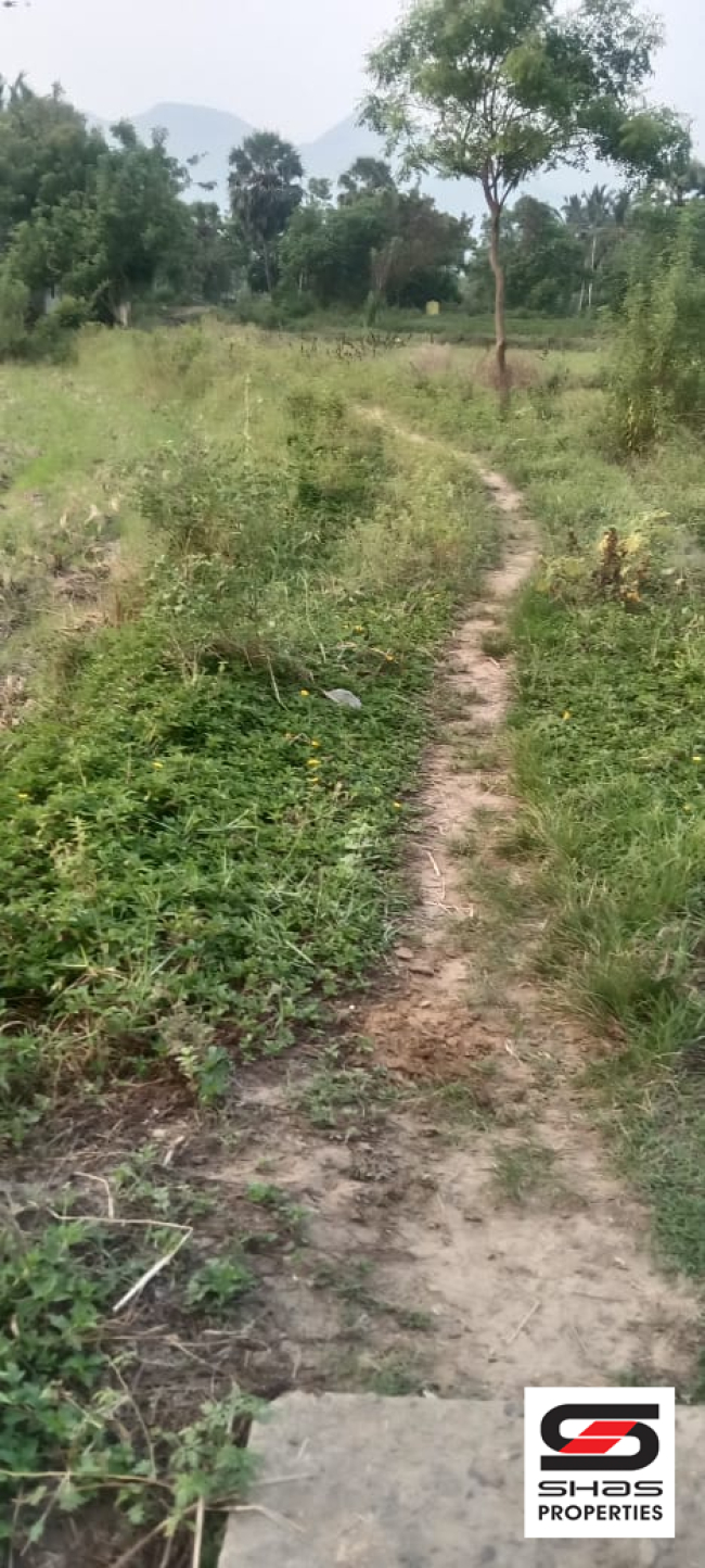 Agricultural land for sale at Kollengode, Palakkad