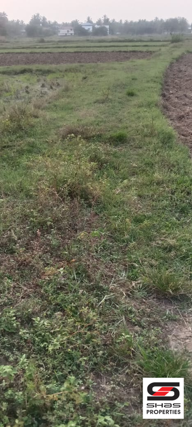 Agricultural land for sale at Kollengode, Palakkad