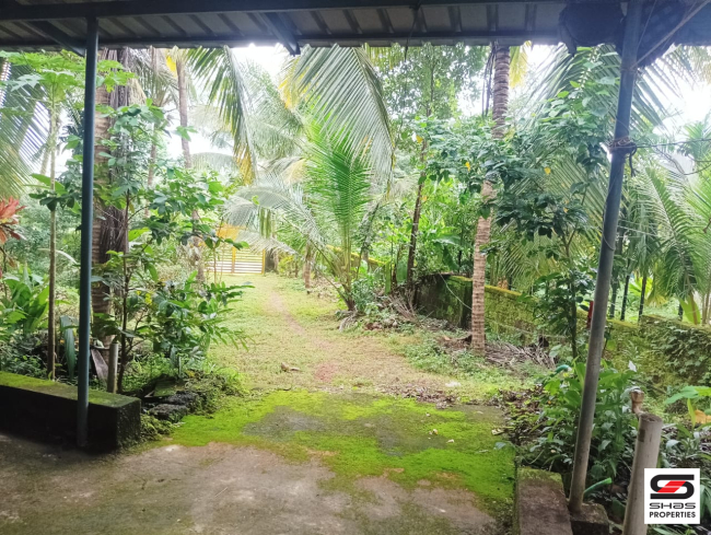 Land with houses for sale in Periya, Kasaragod