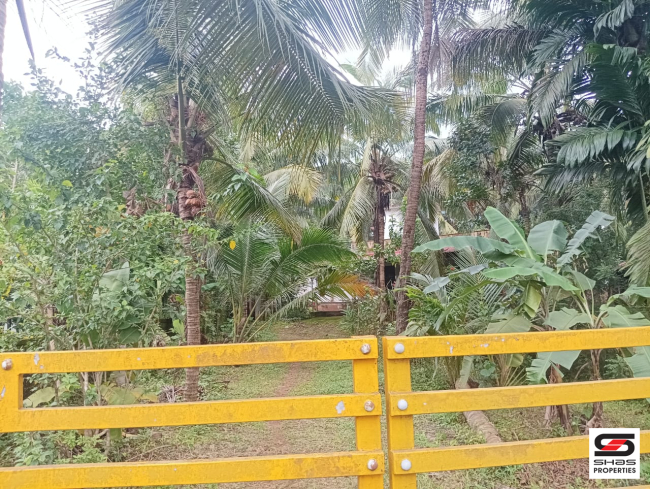 Land with houses for sale in Periya, Kasaragod