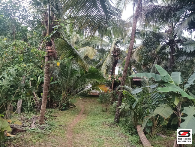 Land with houses for sale in Periya, Kasaragod
