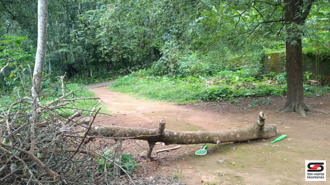 House plot for sale near Thalayolaparambu, Kottayam
