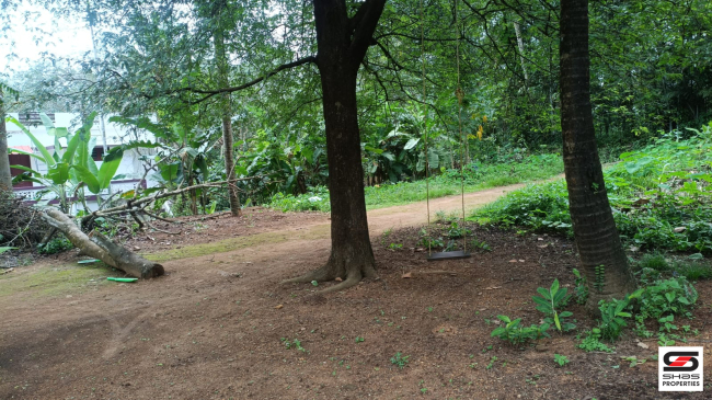 House plot for sale near Thalayolaparambu, Kottayam